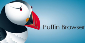 Puffin app de comunicacion y productividad